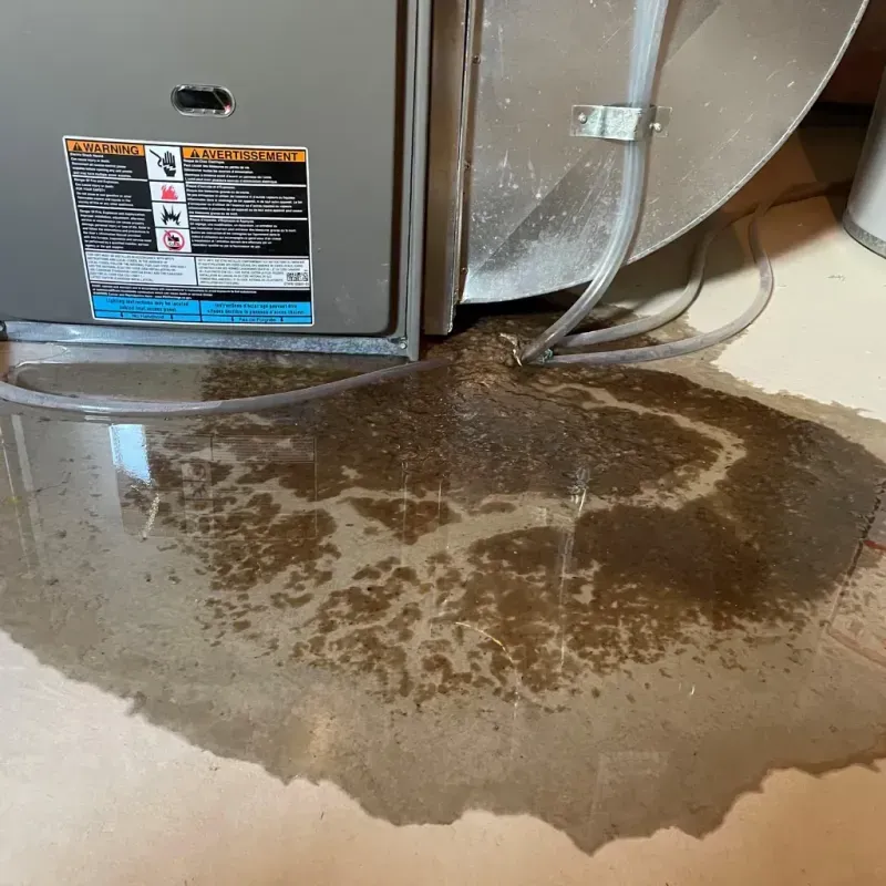 Appliance Leak Cleanup in Bagley, MN